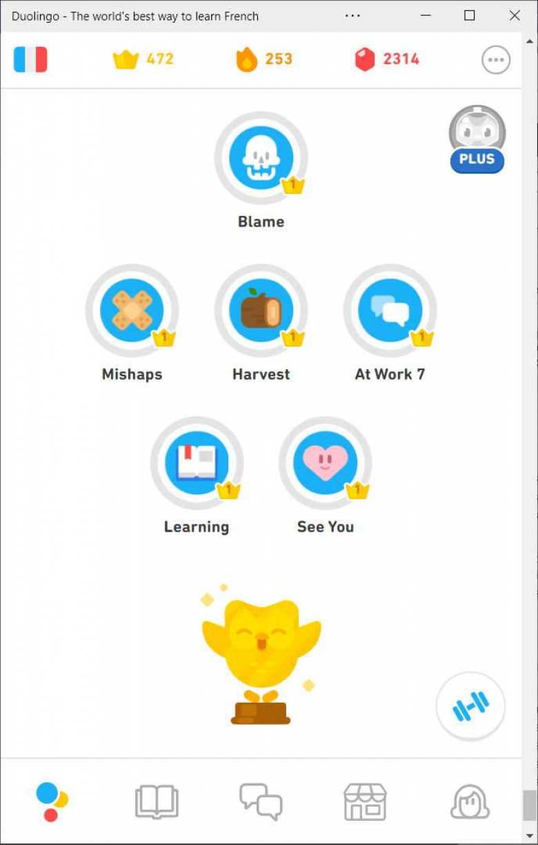 I Finished the French and Chinese Trees on Duolingo (Again)