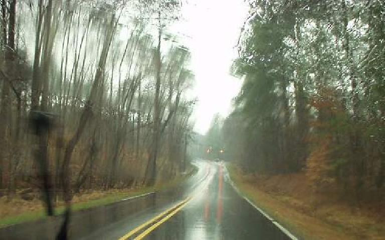 wooded forests, rainy road, Durham, North Carolina