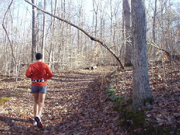 Running through the woods in Durham was very peaceful.