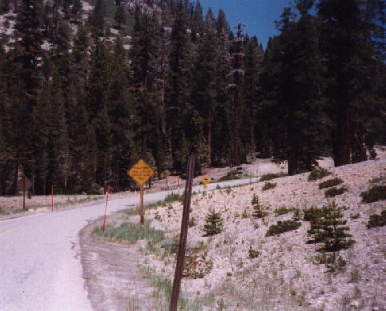 curve in road, eastern Sierras
