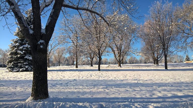 Edora Park, snow, January, Fort Collins