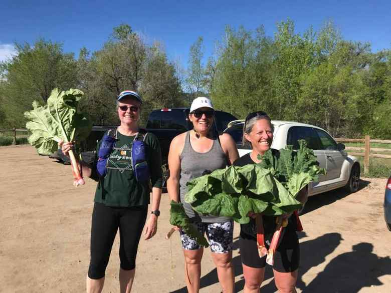 A random lady gave Leslie, Nadine, and Alene rhubarb as they were running down Bingham Hill.