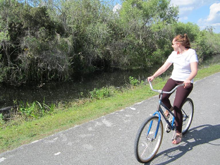 Kelly spots an alligator while going cycling from the Shark Valley Visitor Center.