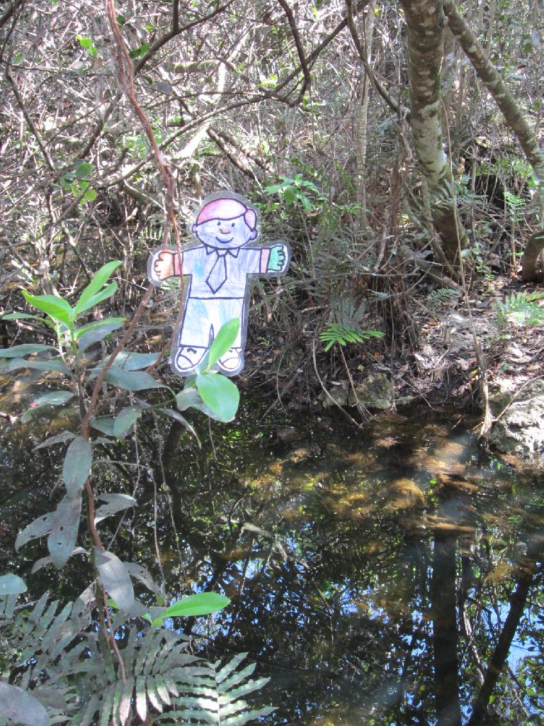 Flat Stanley made a slight detour onto a walking trail off the main recreation loop from the Shark Valley Visitor Center.