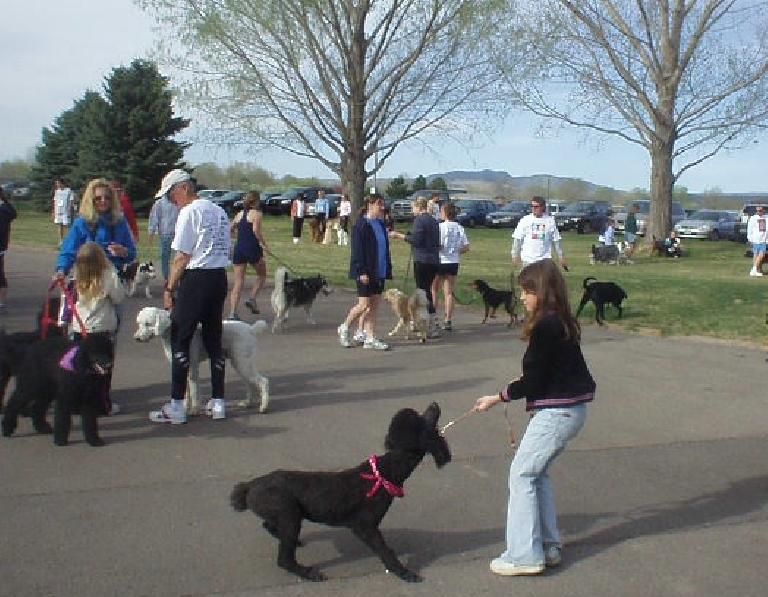 Thumbnail for Related: Fast and the Furriest 5k (2006)