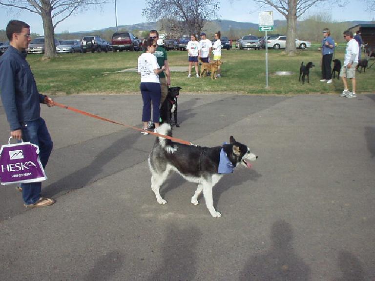 On a beautiful Saturday morning, we went to the Fast and the Furriest.  Why "the Furriest"?  Because both humans and dogs were invited!