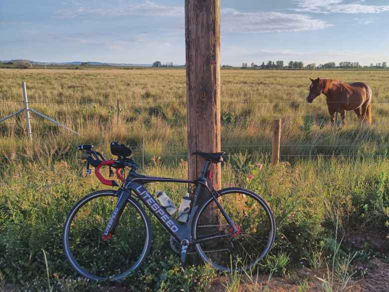 My black 2010 Litespeed Archon C2 with a horse in Wellington.