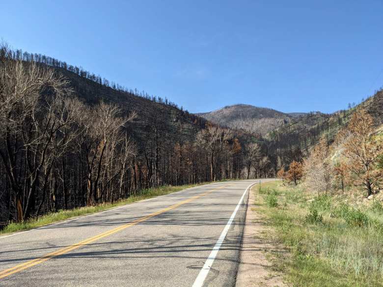 In the 10-mile stretch west of Rustic, many trees had burn scars from last year's raging wildfires in the Poudre Canyon.