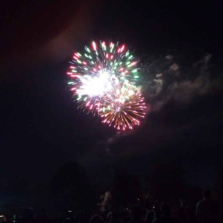 Fireworks about City Park on the Fourth of July.