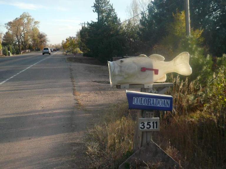 Photo: A fish mailbox in north Fort Collins.