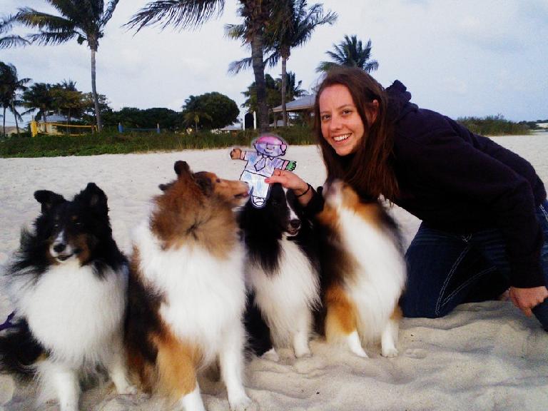 Flat Stanley and Kelly with the mini-collies.