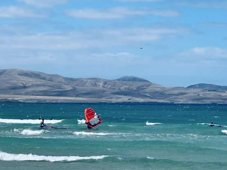 A windsurfer in the water.