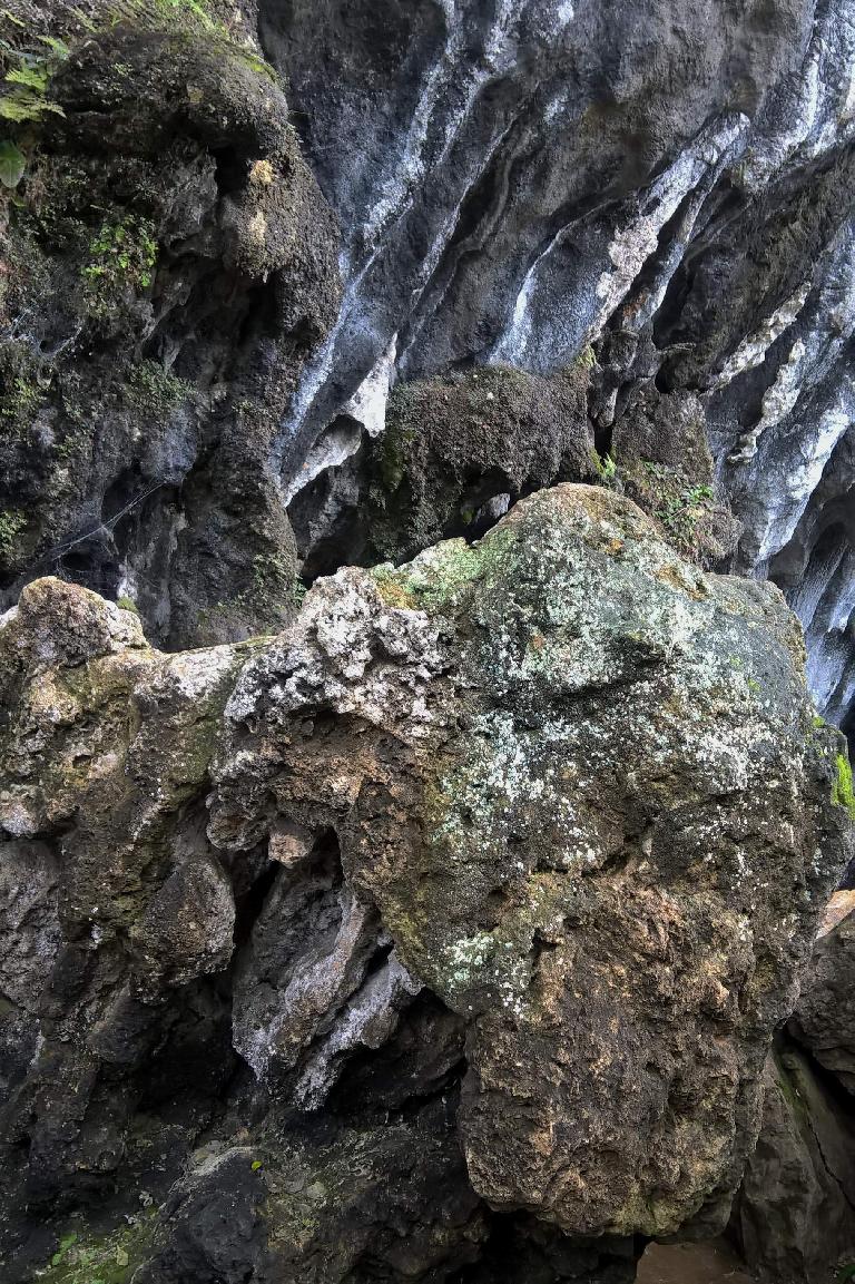 Natural rock that look like animal heads at the Fujian Linyin Stone Forest.