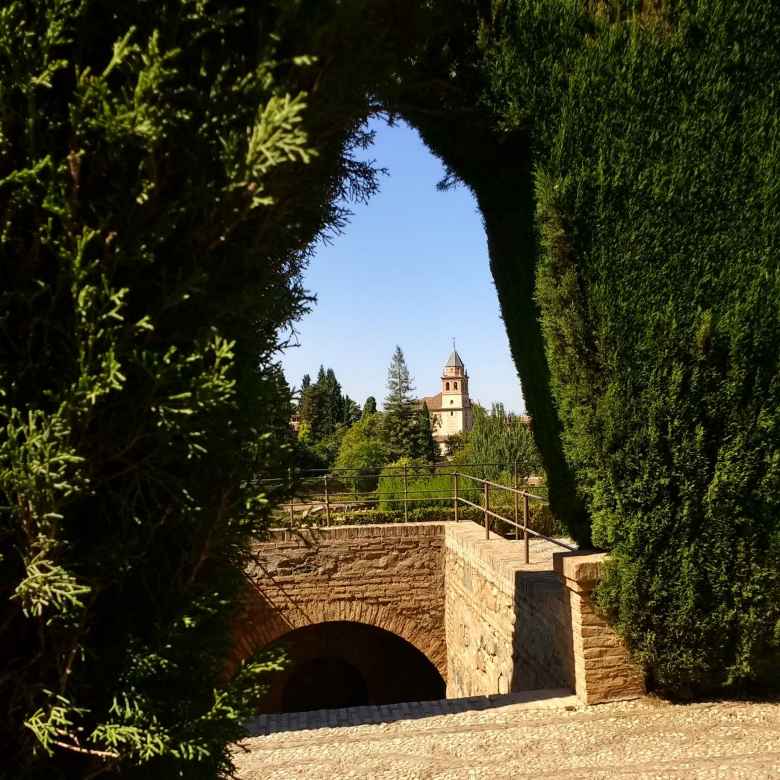View of a building through manicured shrubs at Generalife.