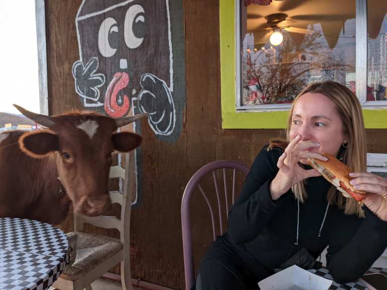 A cow scares Andrea while she is trying to eat an American hot dog for the first time in her life.
