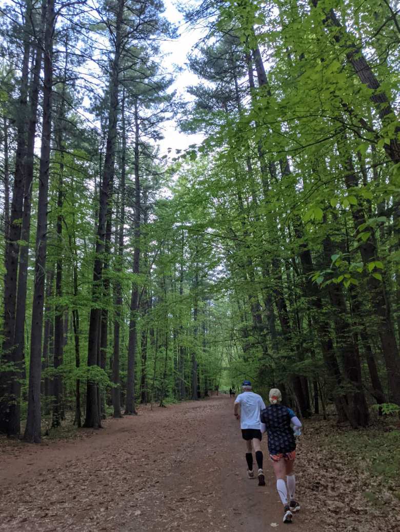 Running through a forest of tall trees at Mine Falls Park in Nashua, New Hampshire for the Granite State Marathon.