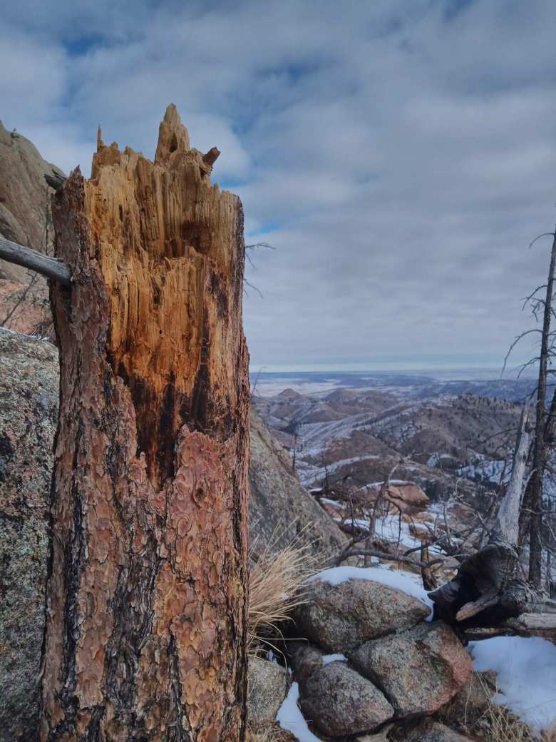 broken tree and boulders with view towards the northeast of Greyrock