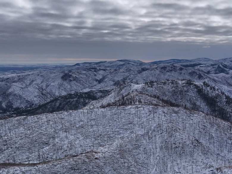 Recently burnt trees stuck out like matchsticks from the snow in the land east of Greyrock.