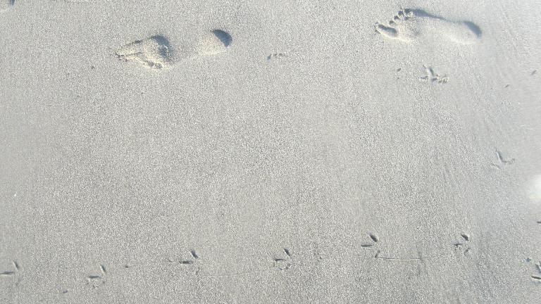 Footprints in the sand.