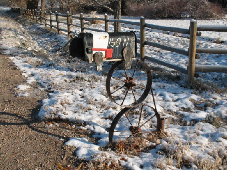 Ann's Hampshire pig mailbox. 