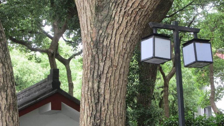 Streetlamps in Hangzhou.