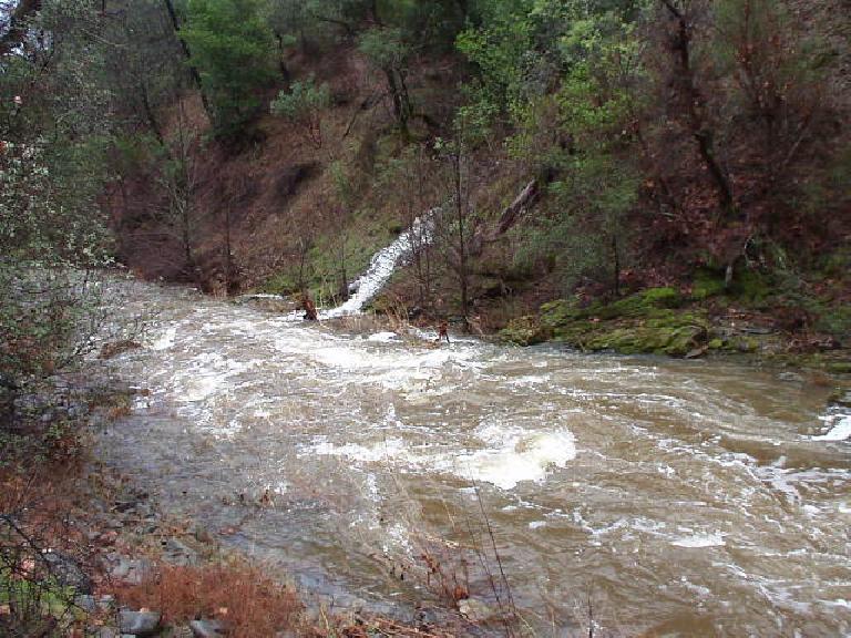 The creek we had boulder-hopped had swelled into a rapidly rushing current that was waist-deep!  And we had to ford this to get back!!!