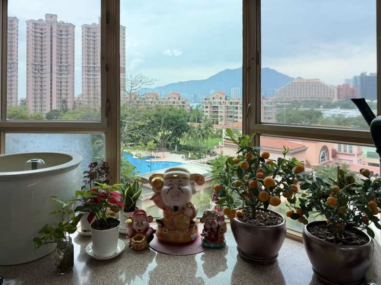 My aunt's place had a great view of a pool, sea, and mountains.