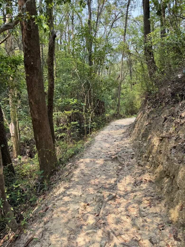 A dirt trail on our hike down from the Reservoir Islands Viewpoint.