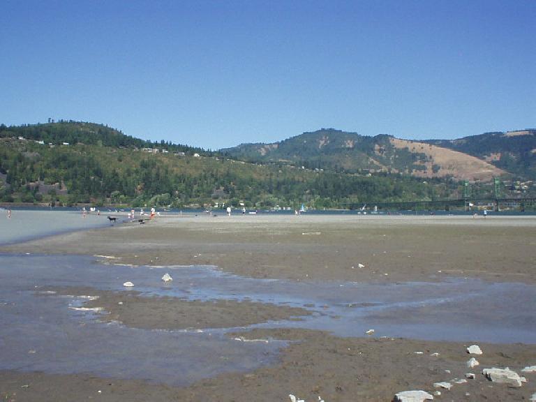 Hood River: the windsurf capital of the world.  Ok, this is a crappy picture, but on this Saturday August afternoon there were several dozen windsurfers out along with sunbathers along the beach.