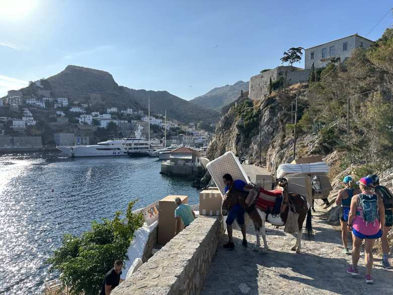 Donkeys were used as taxis on this mostly carless island.