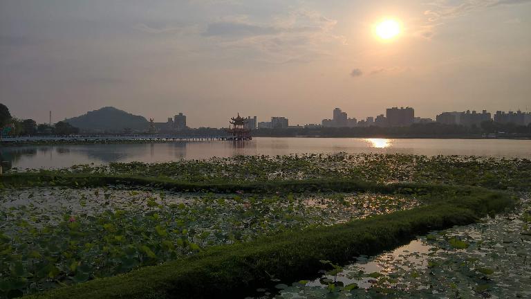 Lotus Pond as seen during my morning run in Kaohsiung City, Taiwan.