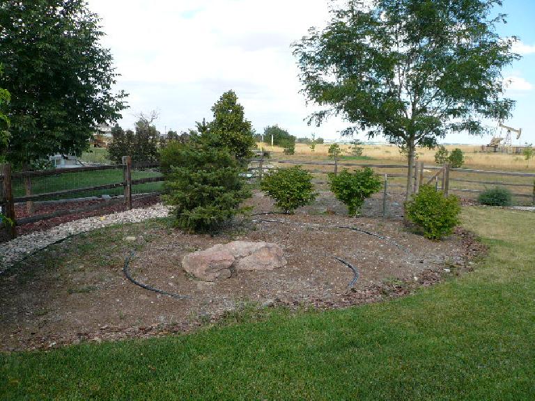 [Before] Landscaping in the center left of the back yard.