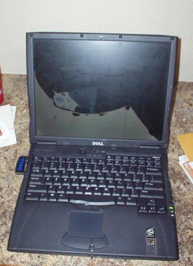 My Dell Latitude C600's TFT screen cracked as a result of dropping the laptop.