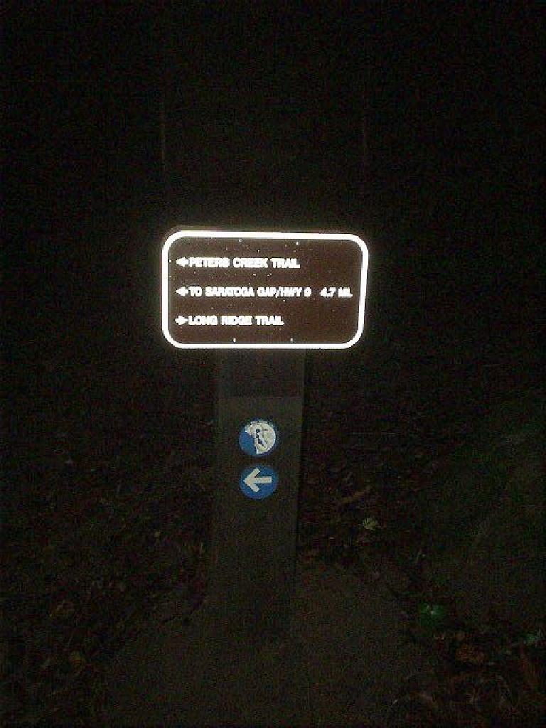This is how a trail marker looks in pure darkness!