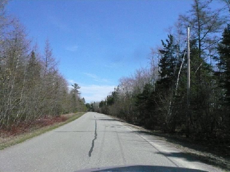 I loved all the trees in Maine.  This is the road going to the Owls Head Transportation Museum.