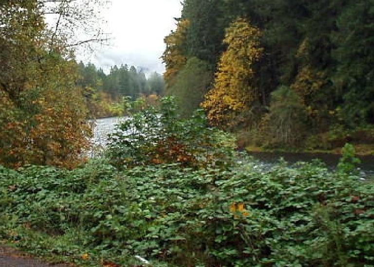 The McKenzie Highway runs by the McKenzie river, from Eugene to Sisters.