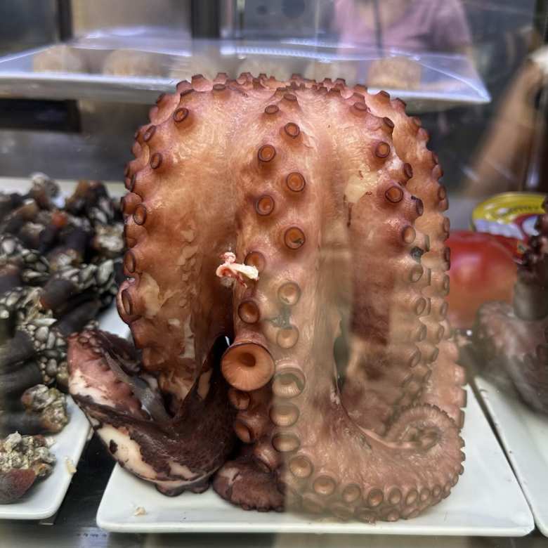 Octopus sold in Santiago de Compostela.