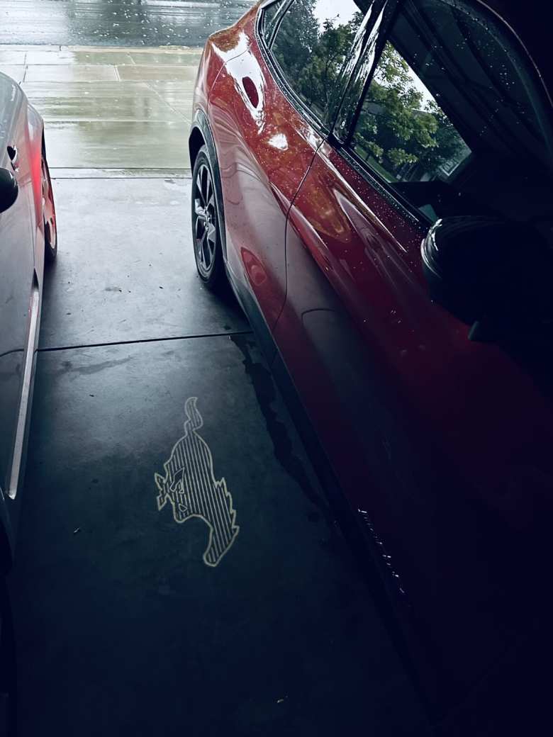 Upon approaching the car, the Mach-E will project a pony on a ground with its mirror-mounted puddle lights. 