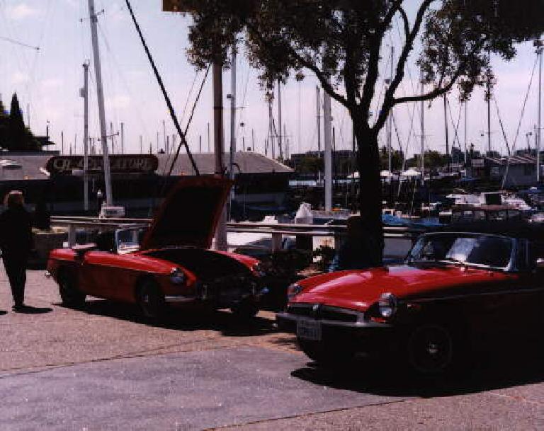 MGB's by the harbor.