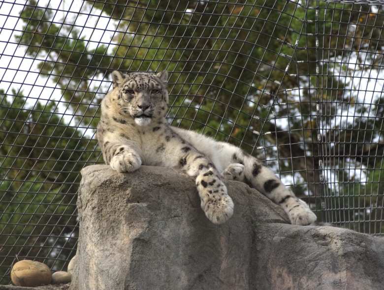 Thumbnail for Micke Grove Zoo of Lodi