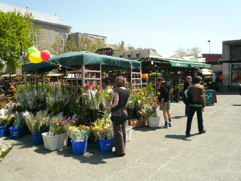 Flower sale right outside the Mont-Royal metro station