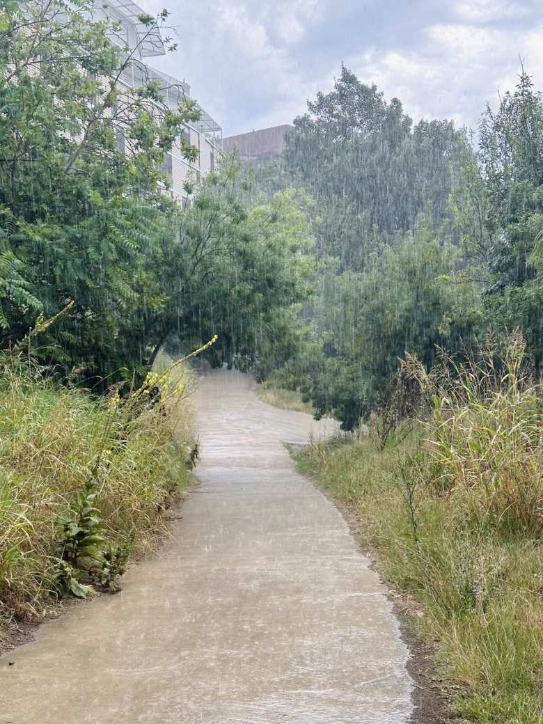 There was a downpour during one of my runs by the Lez river in Montpellier.