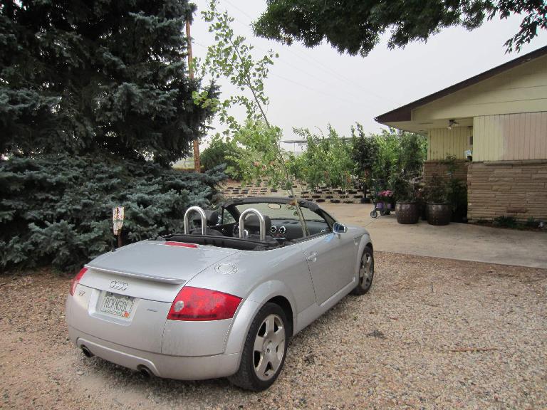 silver 2001 Audi TT Roadster carrying Aspen tree with top down