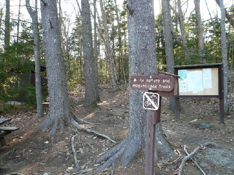 Start of the hiker's trail up Mt. Battie.