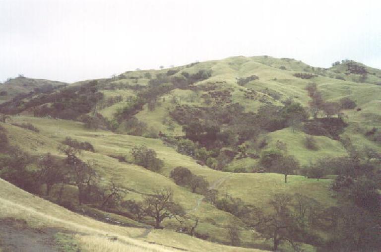 These are some of the green rolling foothills we will be climbing today.