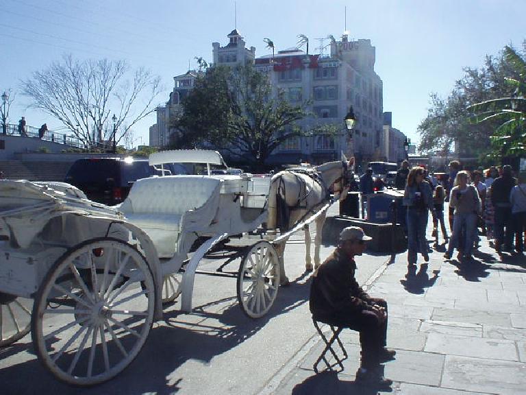 Tourism is even sort of thriving there.  Tourists can get horse rides through the French Quarter.
