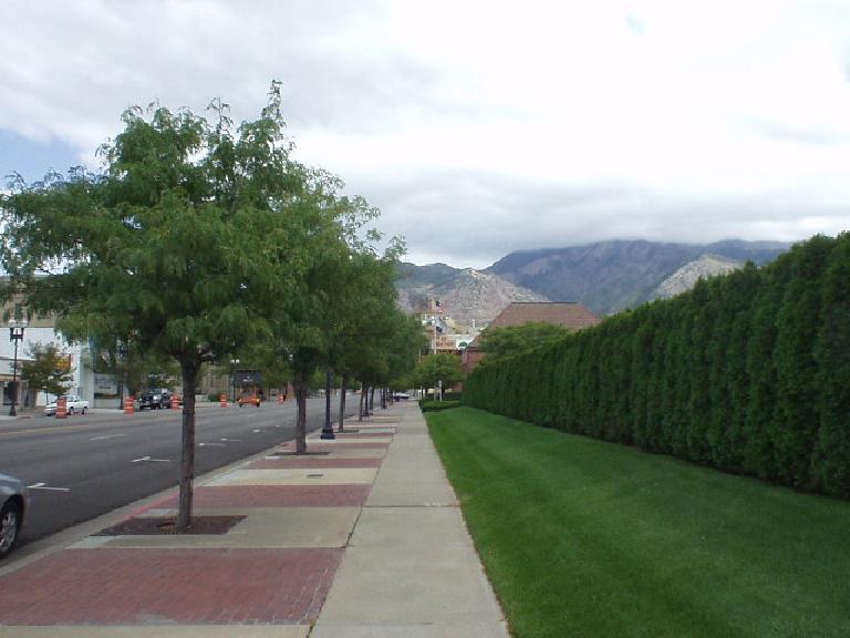 There were lots of trees lining all of the sidewalks in Ogden.