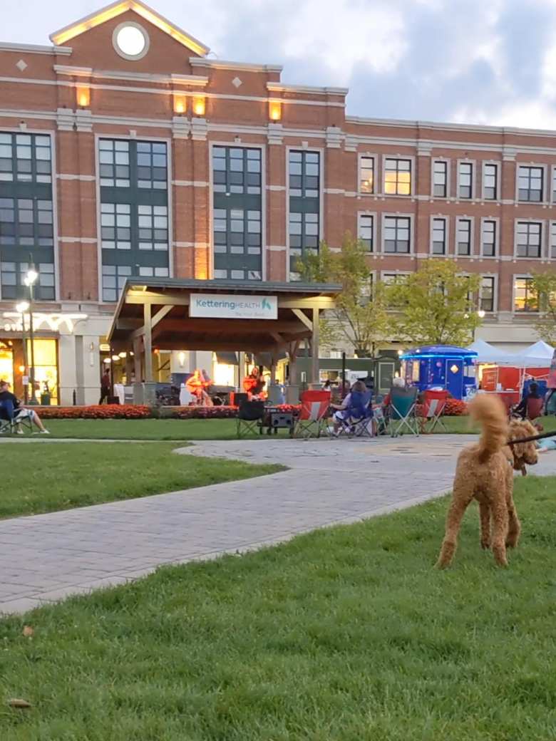 A dog running about at the Greene Town Center in Beavercreek, Ohio.