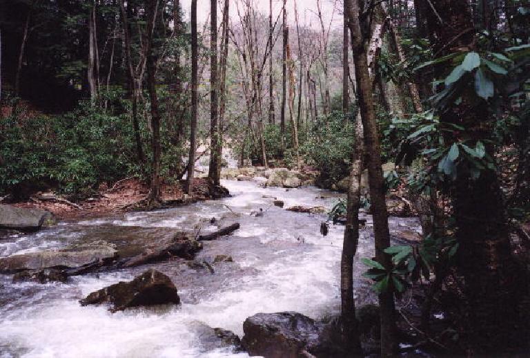 The river from Cucumber Falls.