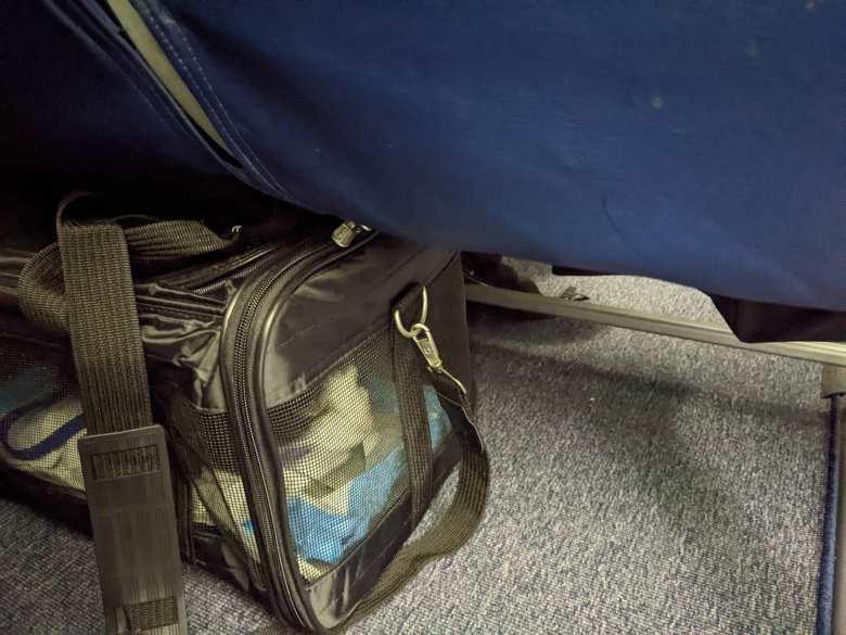 Oreo in a Sherpa Original Deluxe pet carrier under a seat on an international United flight from Newark, New Jersey to Madrid.